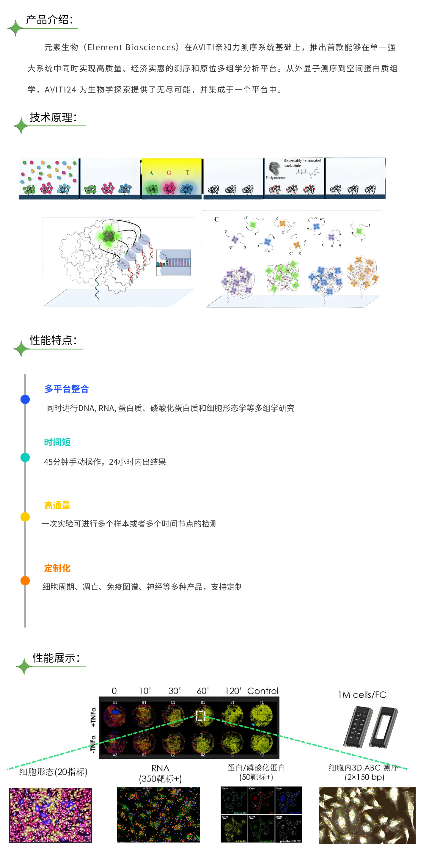 2 AVITI 24 产品介绍.jpg